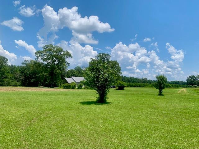 506 Quentin Road Southeast McCall Creek, MS 39647 - Photo 46 of 60 Photo 49