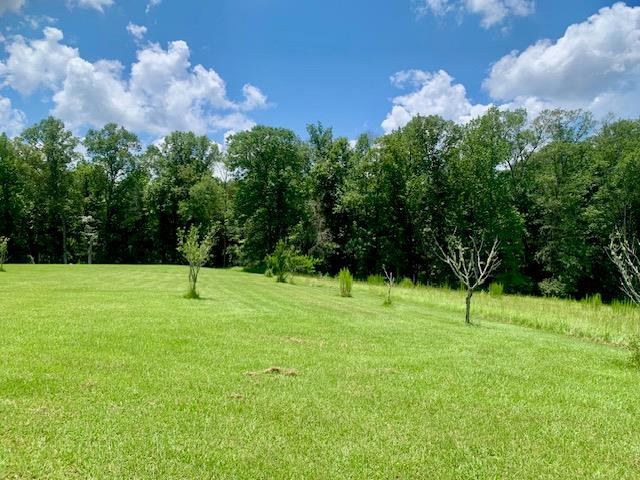 506 Quentin Road Southeast McCall Creek, MS 39647 - Photo 50 of 60 Photo 53