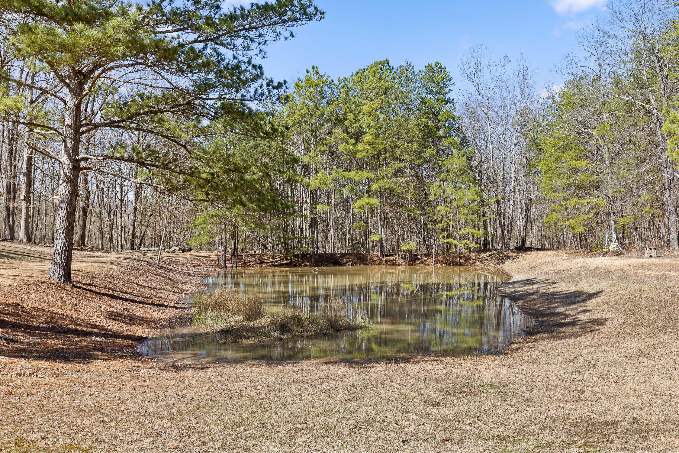 1010 Harp Switch Road Rossville, GA 30741 - Photo 6 of 19 Harp-46