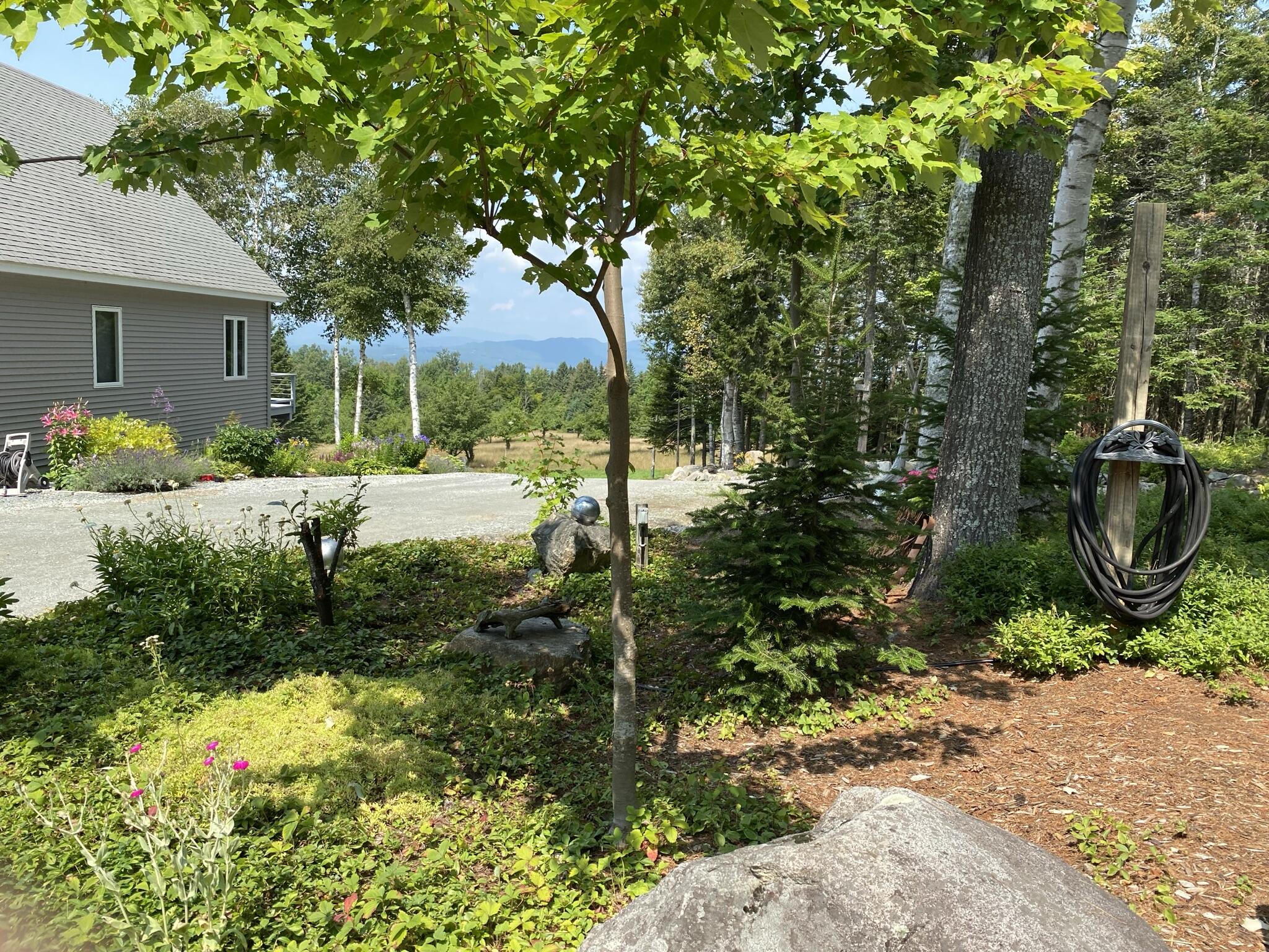 276 Thistle Street Upton, ME 04261 - Photo 5 of 80 IMG_4619