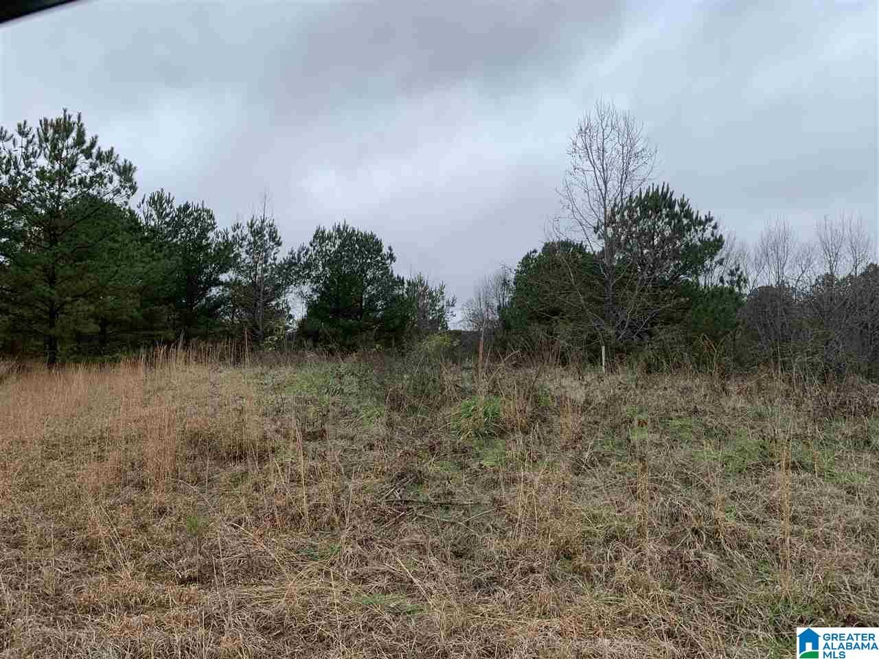Shipptown Road Empire, AL 35063 - Photo 2 of 4