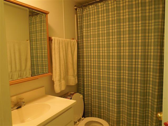 1818 Church Road Clarksville, TN 37040 - Photo 17 of 20 Guest bath with tub/shower combination.