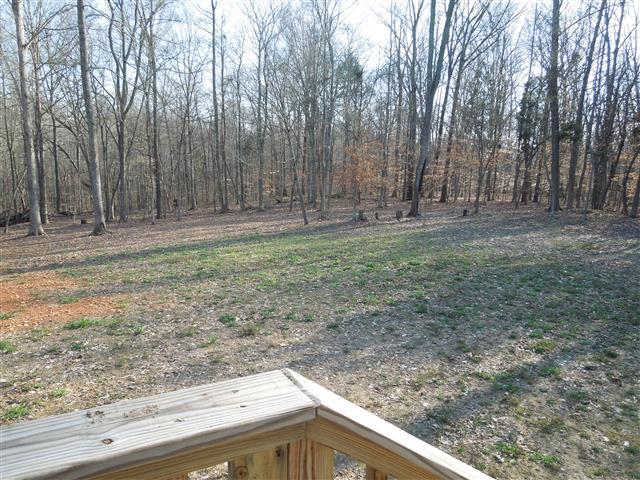 1818 Church Road Clarksville, TN 37040 - Photo 4 of 20 Remaining acreage wooded.