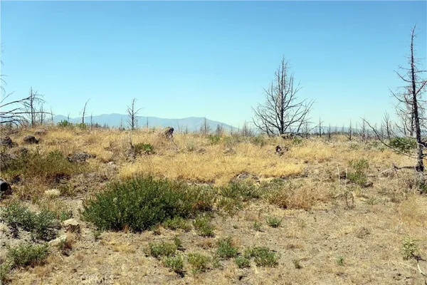 a view of a snow on a field