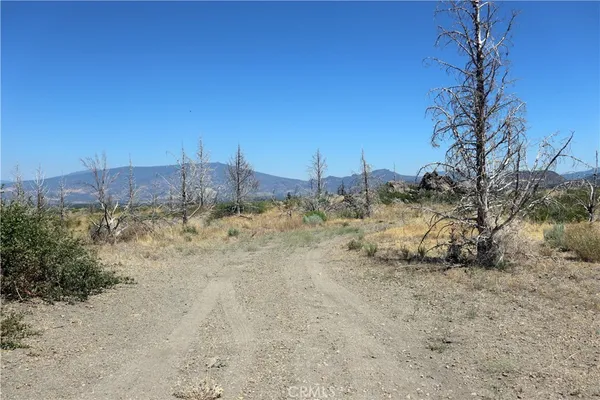 a view of a dry yard