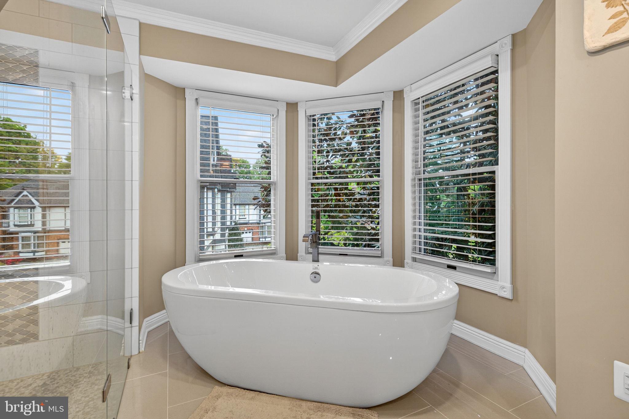63 Rutherford Circle Sterling, VA 20165 - Photo 40 of 52 Updated soaking tub