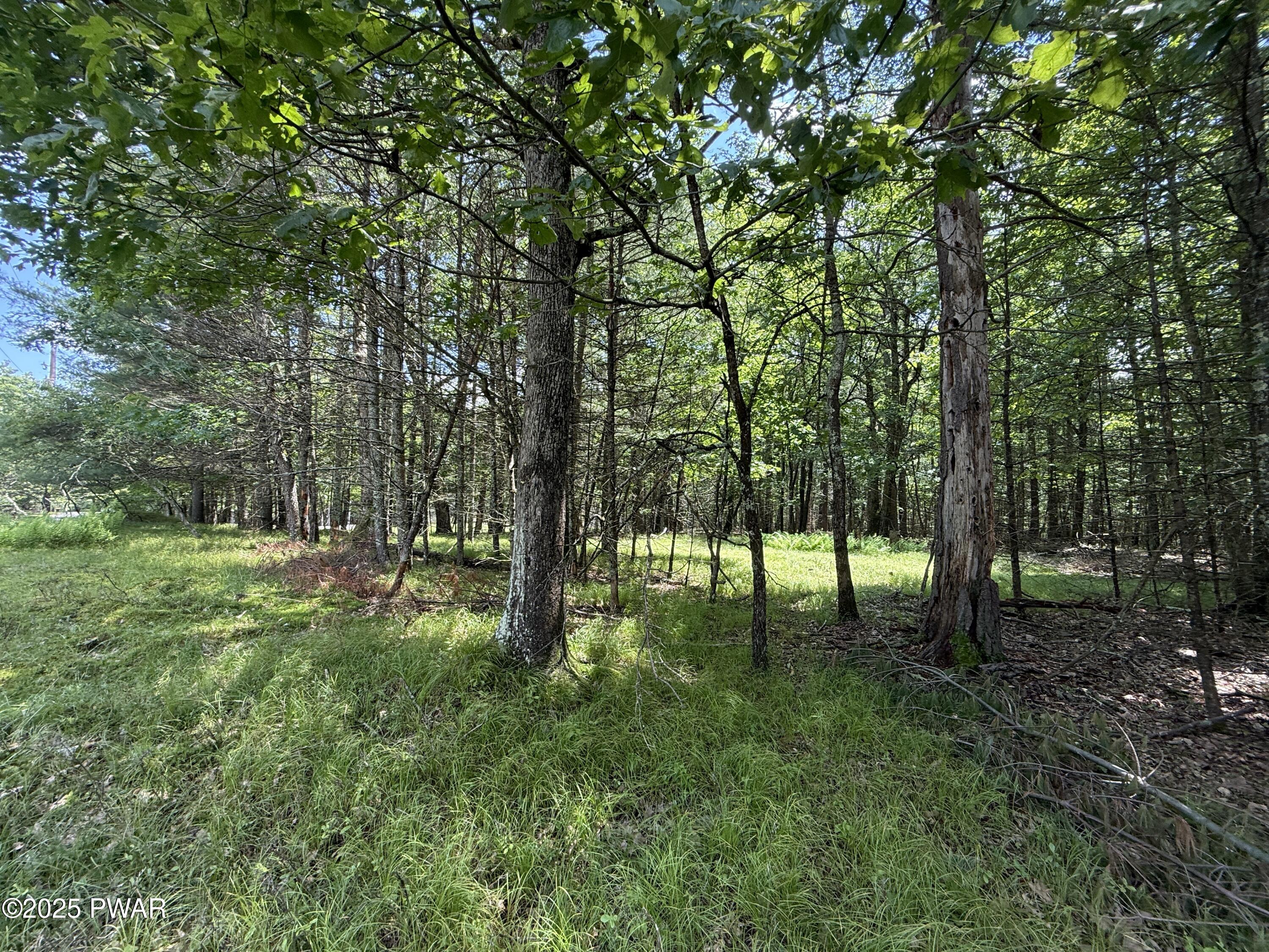 497 Timber Ridge Drive Hawley, PA 18428 - Photo 15 of 15