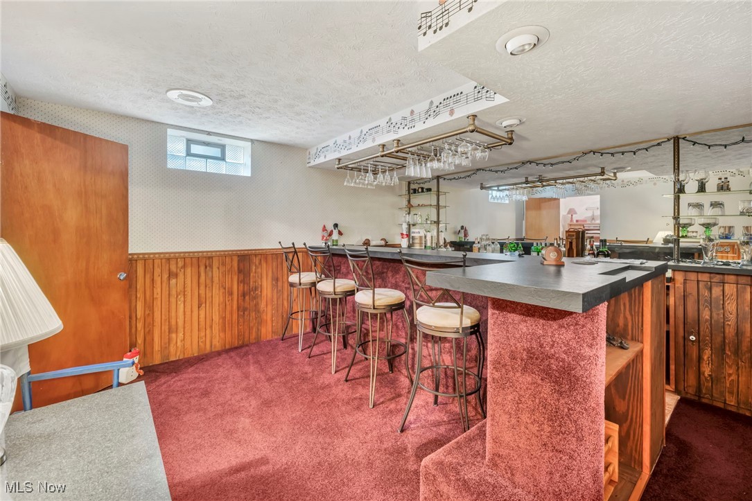 9184 Zimmerman Road Homerville, OH 44235 - Photo 41 of 50 Bar featuring dark carpet, wooden walls, and a textured ceiling