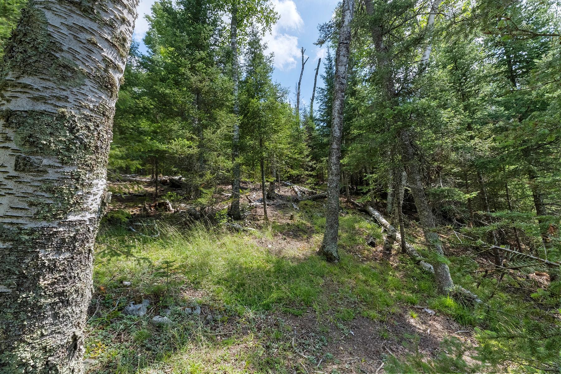 Lot 62 Bald Eagle Road Presque Isle, WI 54557 - Photo 19 of 35 Gallery Image 19