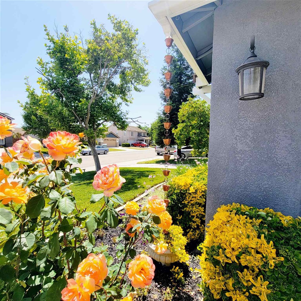 1759 Melissa Drive Ripon, CA 95366 - Photo 3 of 51 Gallery Image 3