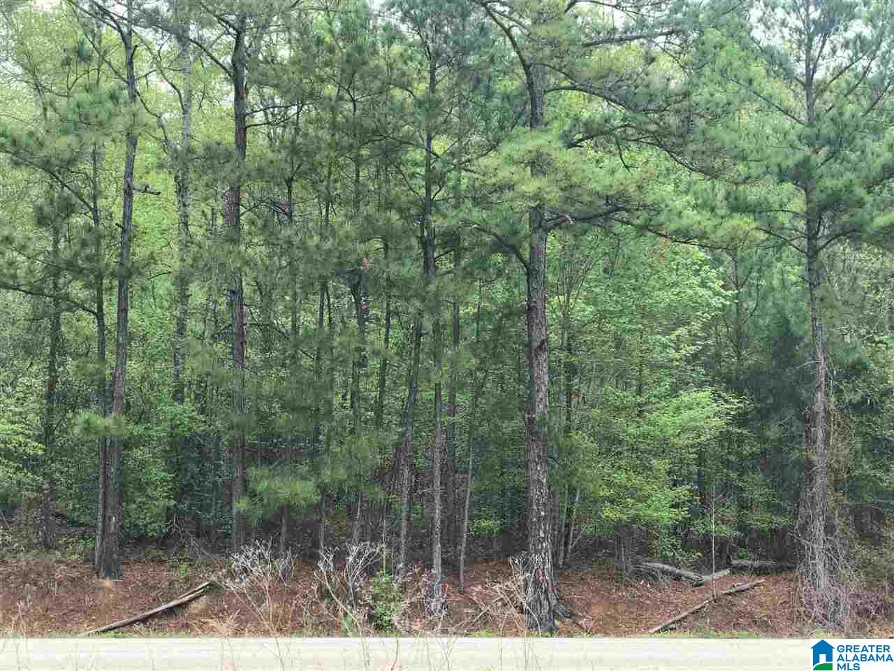 Camp Brownie Road Childersburg, AL 35044 - Photo 2 of 6