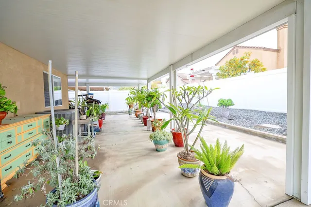 a view of a potted plant sitting in front of a window