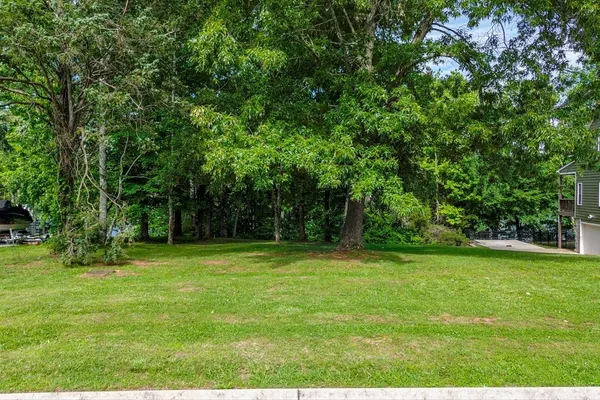 a view of a trees in a yard