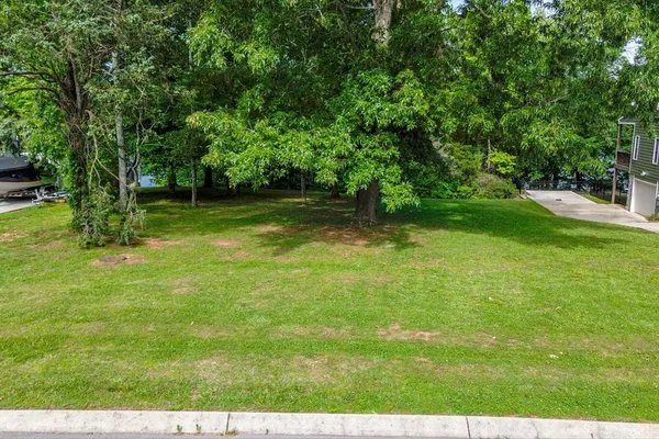 a view of a backyard with large trees