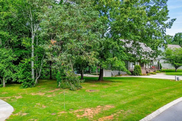 a view of a garden with a tree