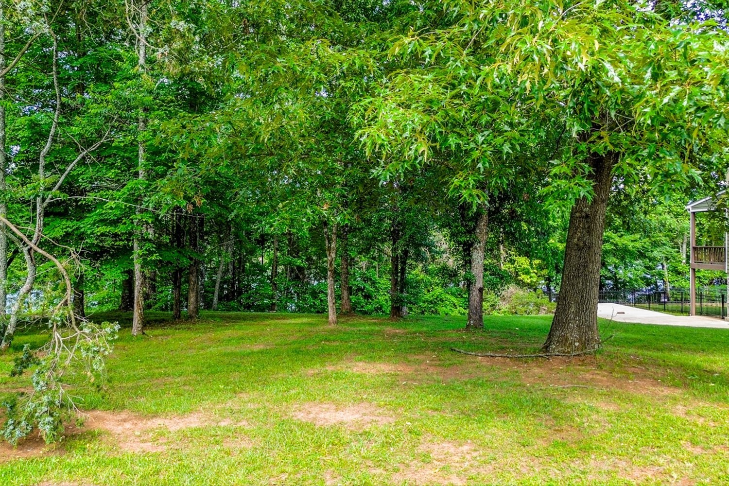 6 Cypress Point Drive Winchester, TN 37398 - Photo 17 of 58 a view of a trees in a yard