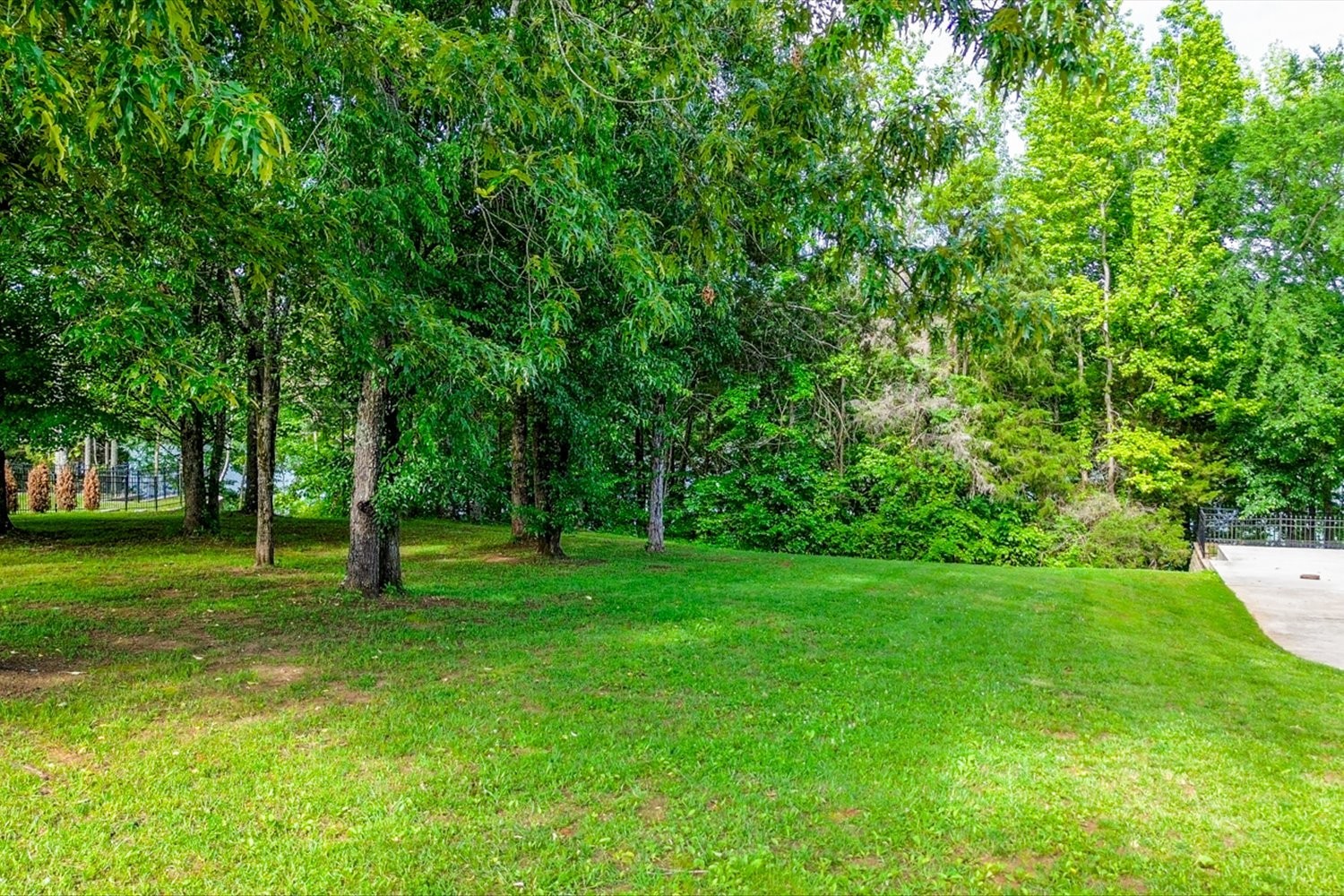6 Cypress Point Drive Winchester, TN 37398 - Photo 20 of 58 a view of a backyard with large trees