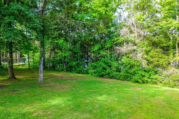 a huge green field with lots of trees