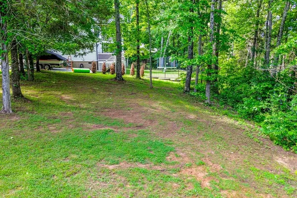 a big yard with lots of green space and trees