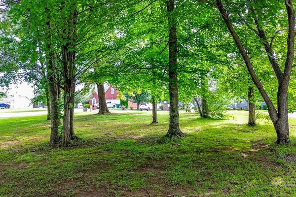 an aerial view of green landscape with trees houses and lake view