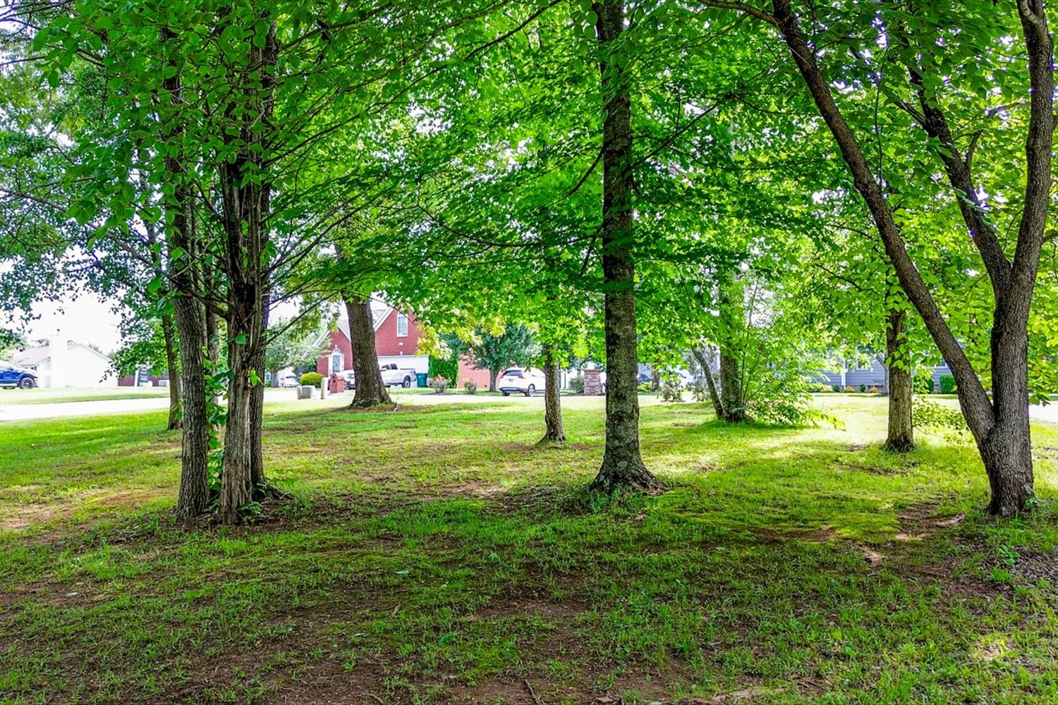 6 Cypress Point Drive Winchester, TN 37398 - Photo 25 of 58 a view of a trees in a yard