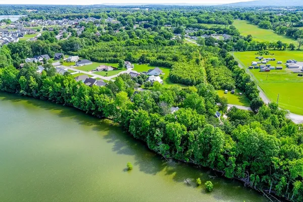 a view of a garden with a lake