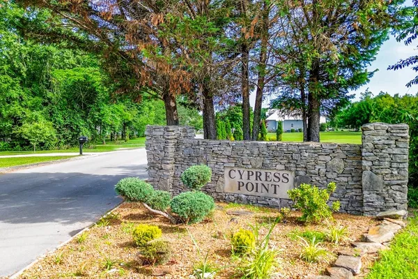 a view of garden with patio