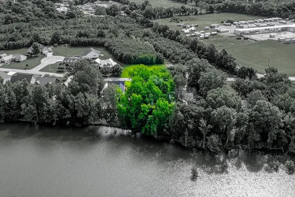 a view of a trees in a park
