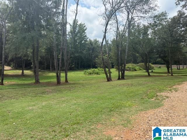 580 Idalia Road Talladega, AL 35160 - Photo 3 of 47
