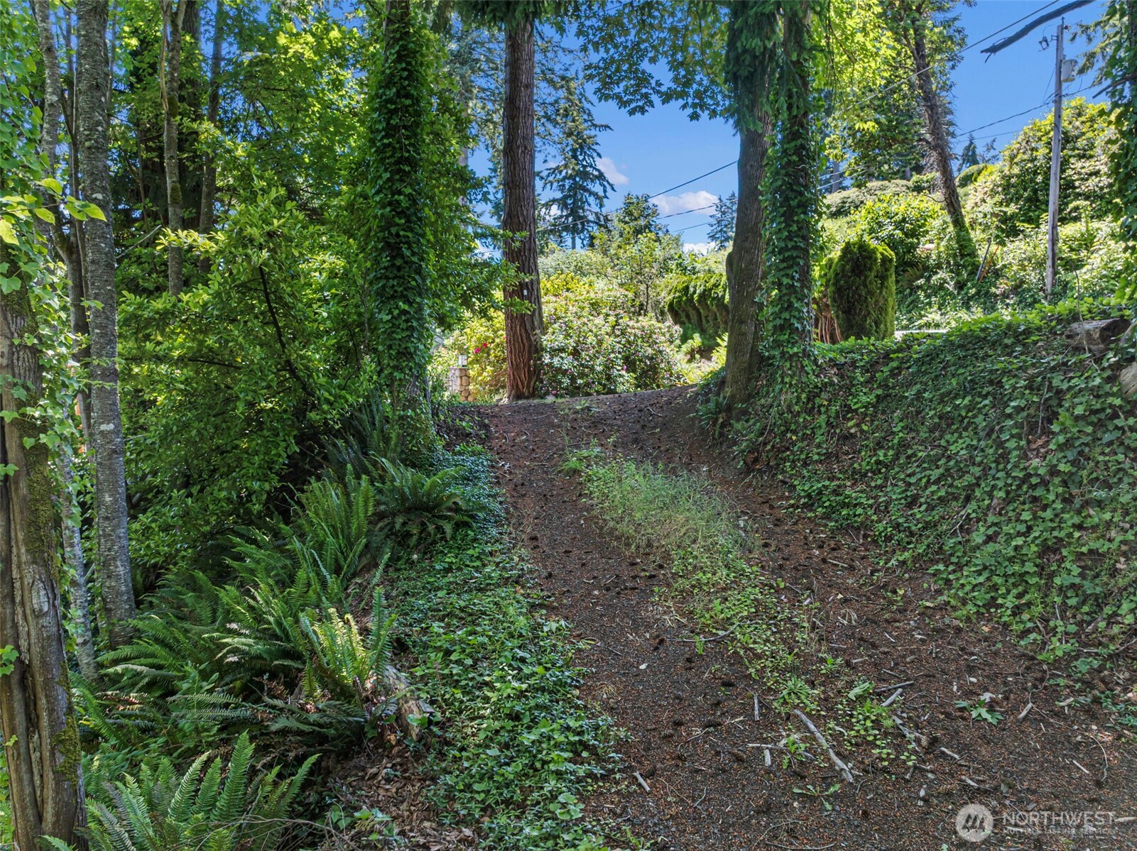 14447 Crescent Valley Road Southeast Olalla, WA 98359 - Photo 6 of 16