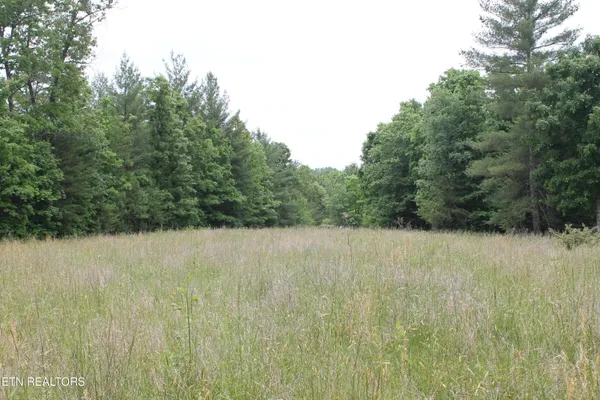 $425,000 | 232 Wright Cemetery Road, Allardt, TN 38504