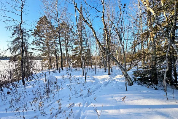 $700,000 | 0 Co Highway 77, Tower, MN 55790