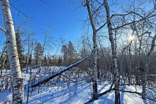 $700,000 | 0 Co Highway 77, Tower, MN 55790