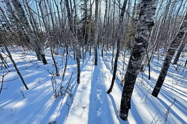 $700,000 | 0 Co Highway 77, Tower, MN 55790