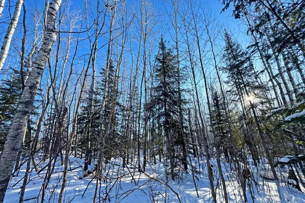 $700,000 | 0 Co Highway 77, Tower, MN 55790