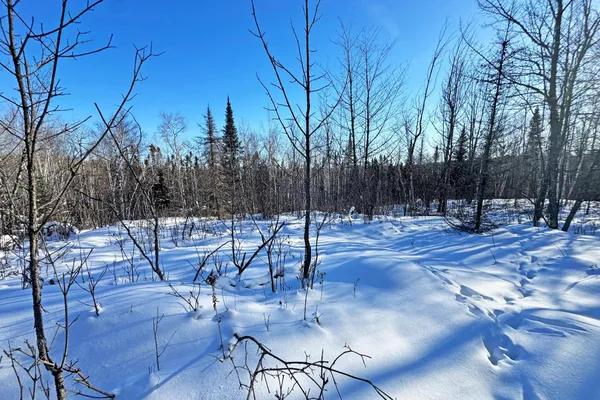 $700,000 | 0 Co Highway 77, Tower, MN 55790