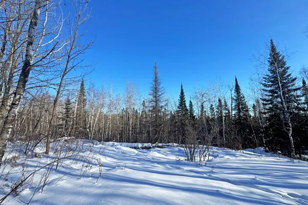 $700,000 | 0 Co Highway 77, Tower, MN 55790