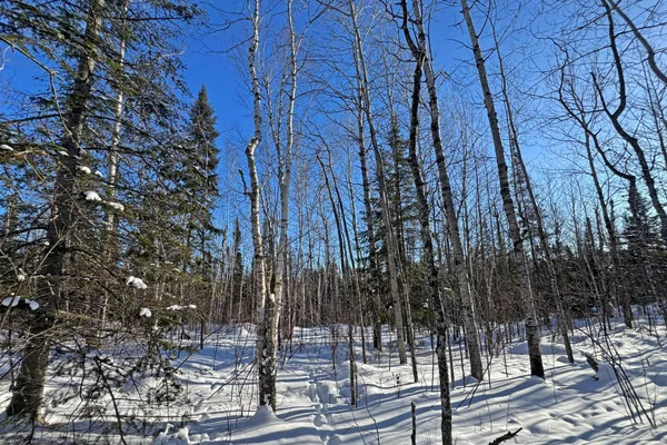 $700,000 | 0 Co Highway 77, Tower, MN 55790