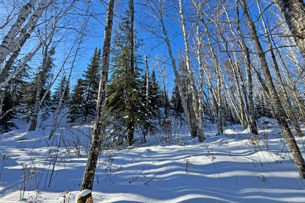 $700,000 | 0 Co Highway 77, Tower, MN 55790