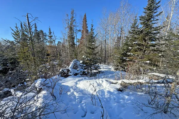 $700,000 | 0 Co Highway 77, Tower, MN 55790