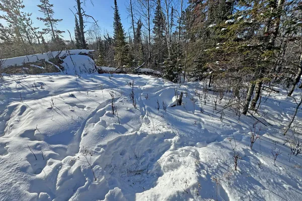 $700,000 | 0 Co Highway 77, Tower, MN 55790