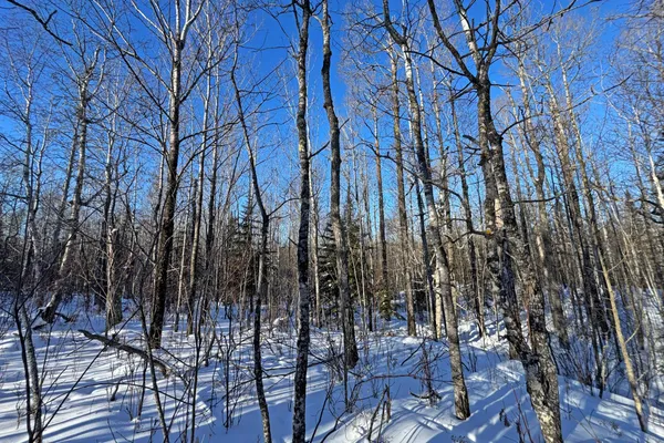 $700,000 | 0 Co Highway 77, Tower, MN 55790