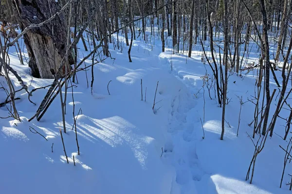 $700,000 | 0 Co Highway 77, Tower, MN 55790