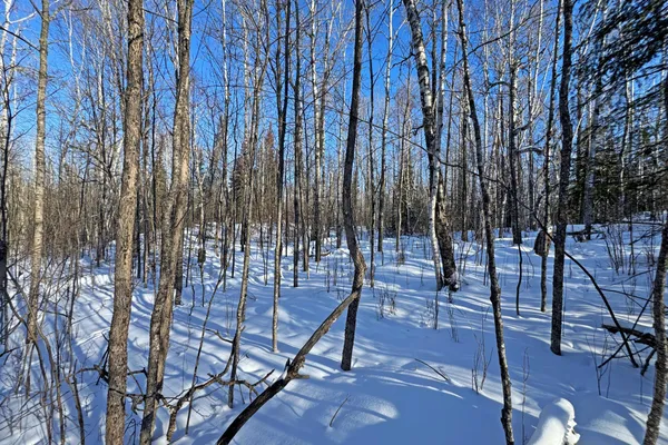 $700,000 | 0 Co Highway 77, Tower, MN 55790