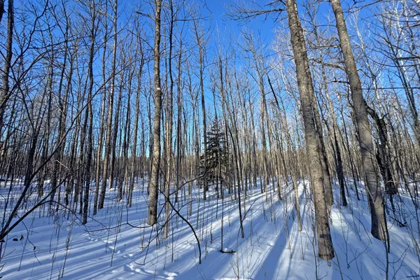 $700,000 | 0 Co Highway 77, Tower, MN 55790