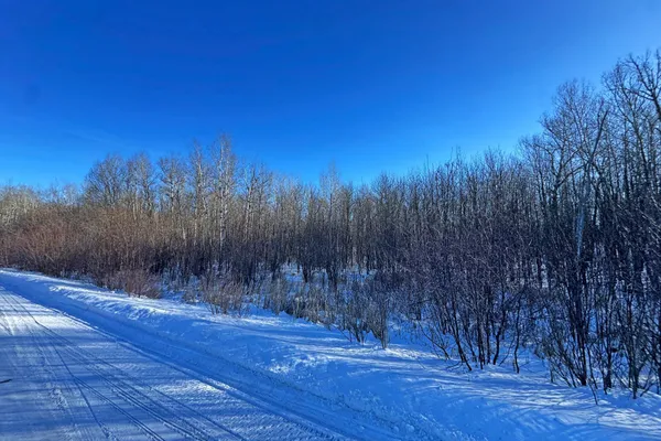 $700,000 | 0 Co Highway 77, Tower, MN 55790