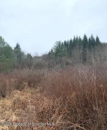 a view of a field of grass and trees