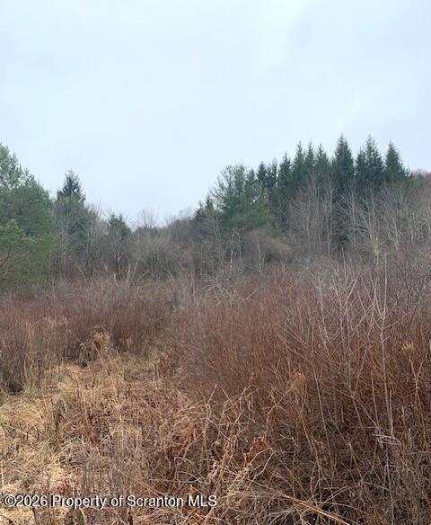 Jackson Valley Road Little Meadows, PA 18830 - Photo 5 of 6 a view of a field of grass and trees