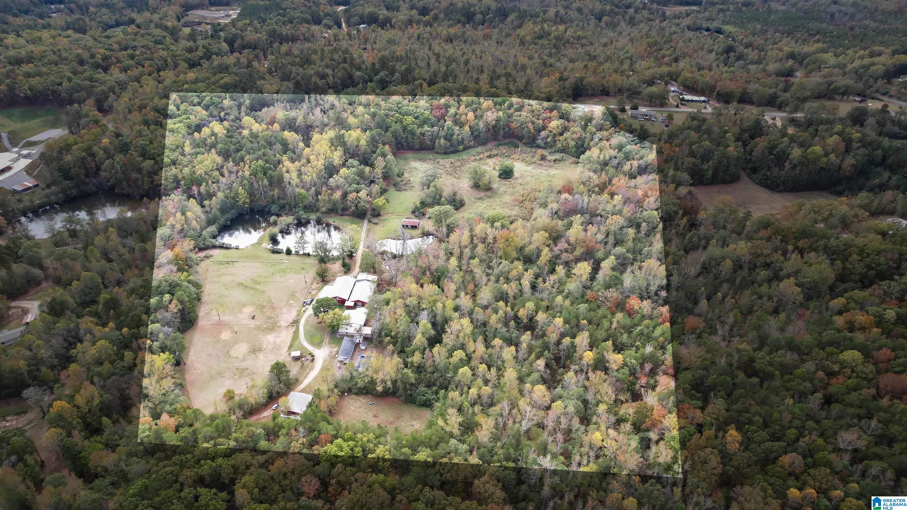 9406 County Road 51 Jemison, AL 35085 - Photo 58 of 58