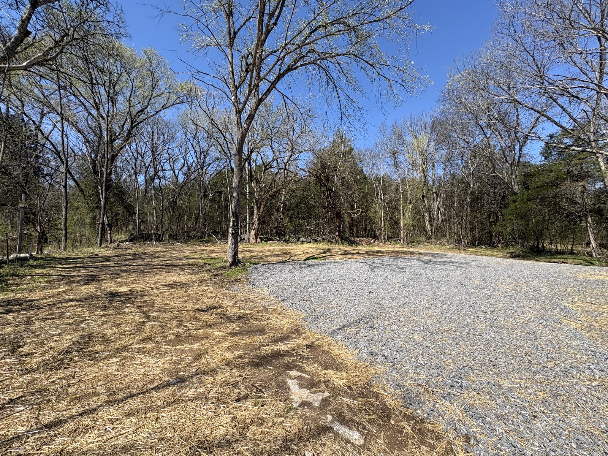 307 Enigma Road Chestnut Mound, TN 38552 - Photo 41 of 44